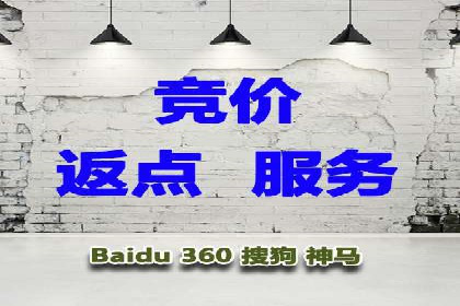 竞价广告赚钱案例：从新手到专家